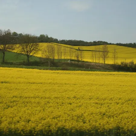 Lejlighed In Mit Terrasse