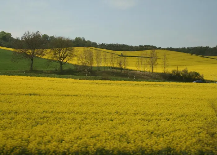 Lejlighed In Mit Terrasse