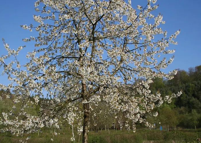Lejlighed In Mit Terrasse Frankenau