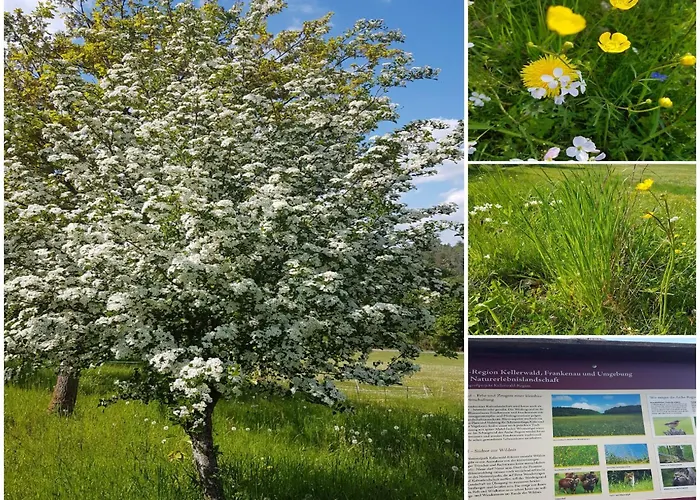 Lejlighed In Mit Terrasse Frankenau